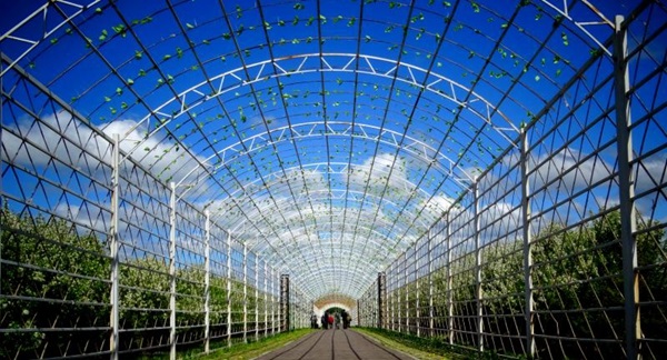 「耐力板生产」过程中要注意的事项