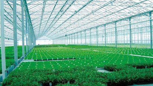 用PC阳光板做温室大棚的好处有哪些？真实有效