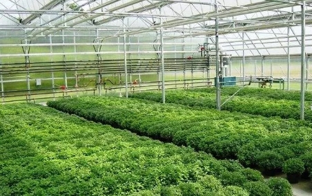 中空的PC阳光板与实心的PC耐力板如何区分？有哪些方法？