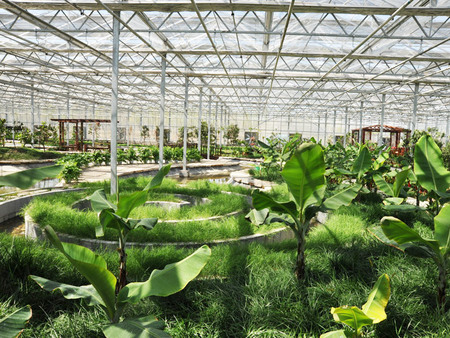 PC阳光板温室大棚的两种结构是什么？各有什么特性？已解决