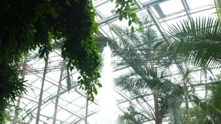 插接阳光板如何安装？它有哪些特性？真实有效